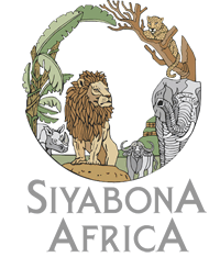 http://www.luxurysafari.net